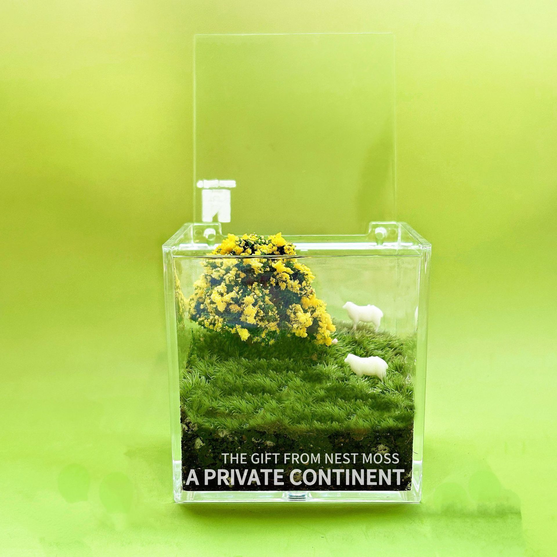 Маленькиймирмха:ПриватныйконтинентМикроландшафтсмхом