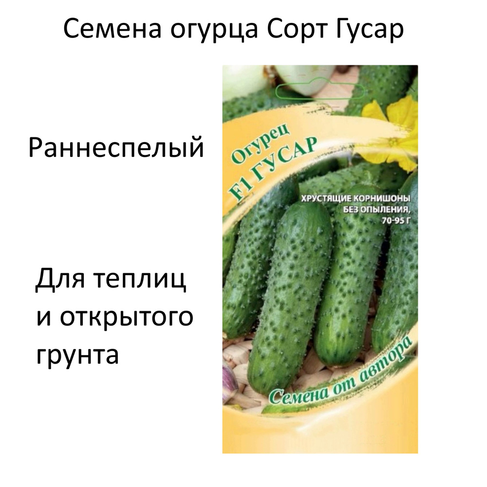 Семена Огурца "Гусар " для круглогодичного выращивания на подоконнике, окне, балконе, огурец, томат, #1