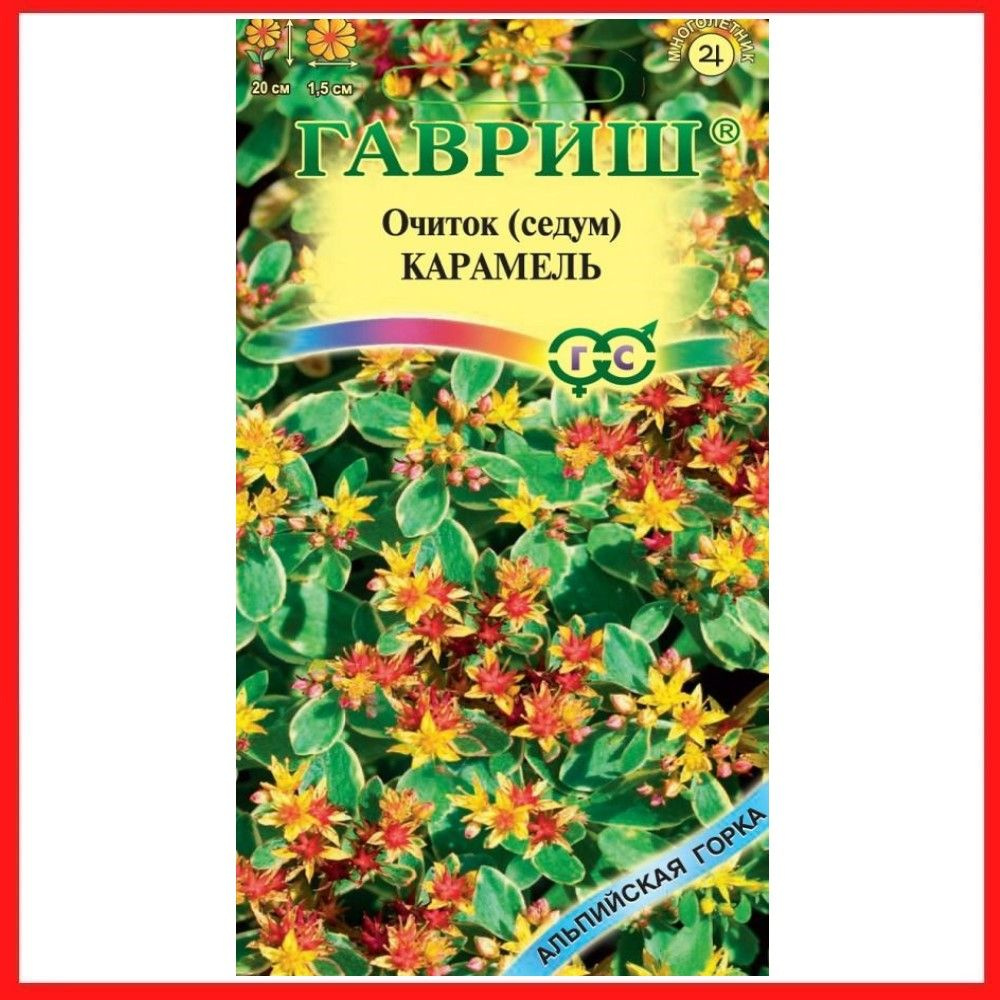 Семена Очиток камчатский "Карамель" Седум 0,01 гр, многолетние цветы для дачи, сада и огорода, клумбы, #1