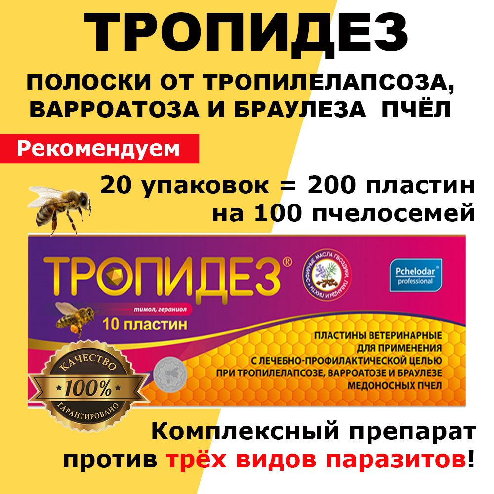 20 упаковок Тропидез полоски от варроатоза и акарапидоза пчёл / пластины от клещей / 200 пластин  #1