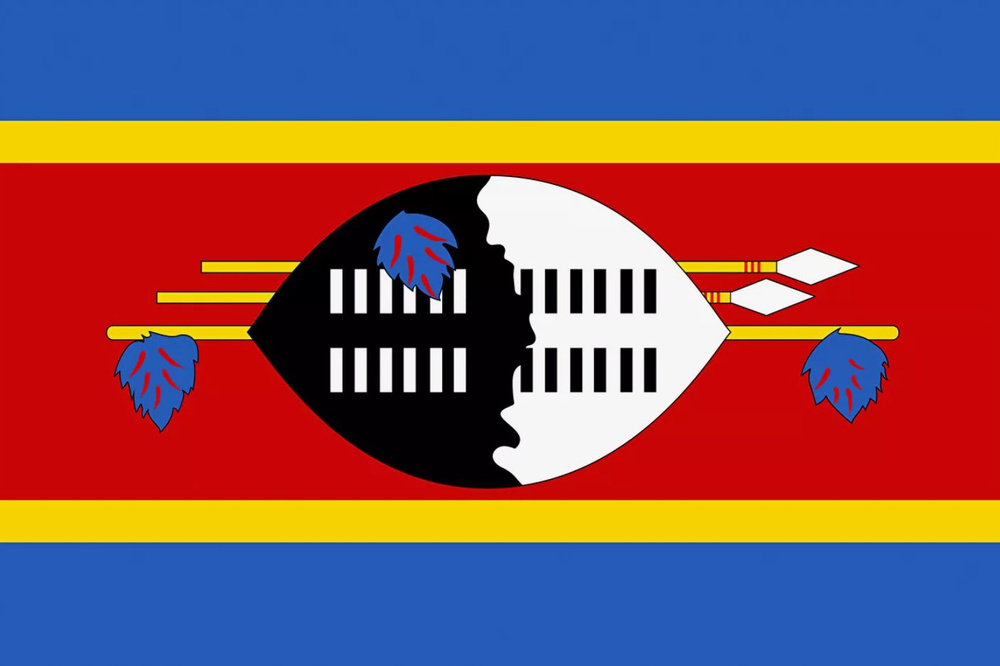 Флаг Эсватини 40х60 см с люверсами #1