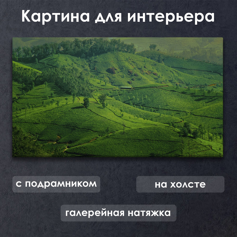 Картина для интерьера с подрамником на холсте на стену Зеленые лесные холмы  #1