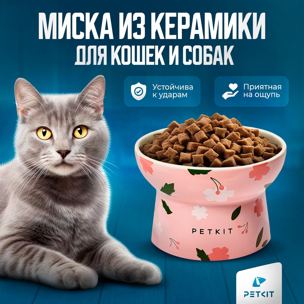 Керамическая миска XL для кошек и собак PETKIT #1