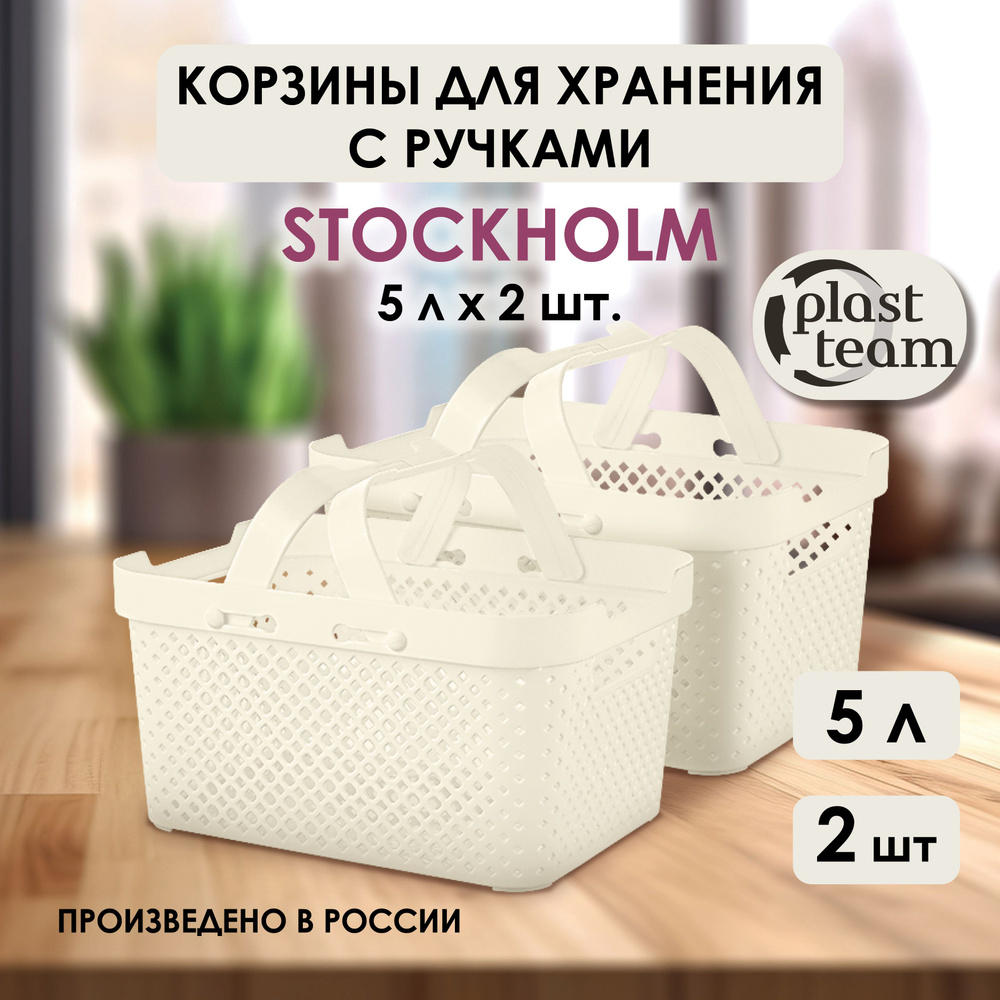 Корзины для хранения с ручками 2 шт, 5 л, Plast Team Stockholm, молочный туман органайзеры складные  #1