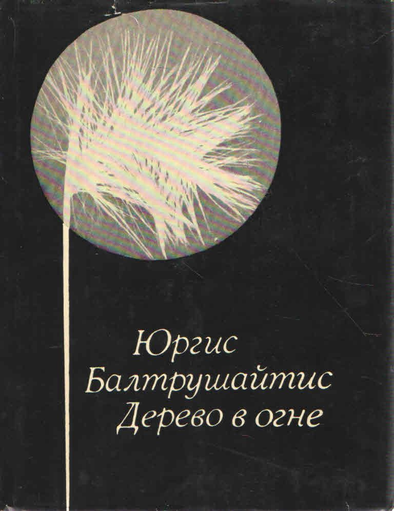 Дерево в огне | Балтрушайтис Юргис Казимирович #1