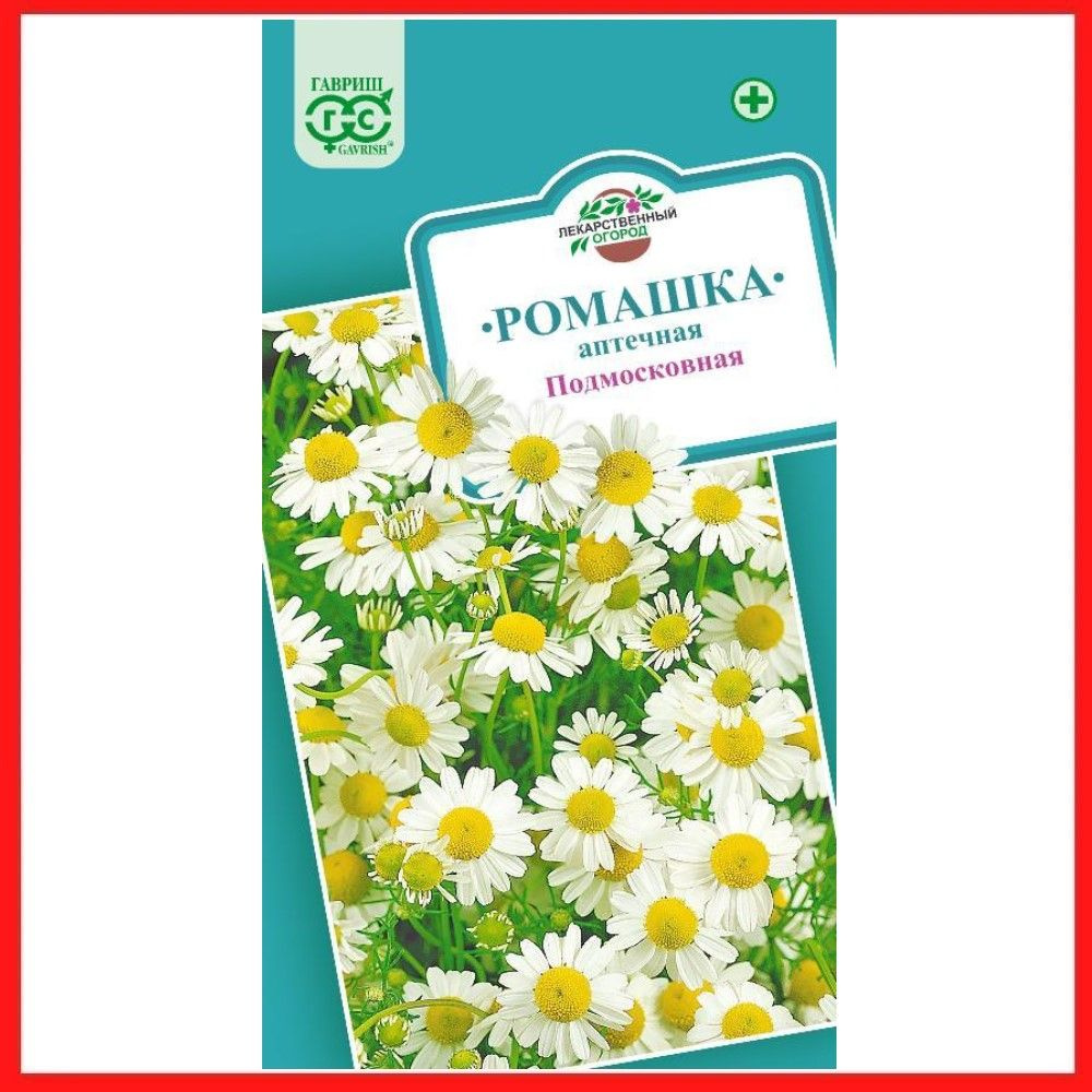 Семена Ромашка аптечная "Подмосковная" 0,2, однолетние травянистые растения, лекарственные травы, для #1