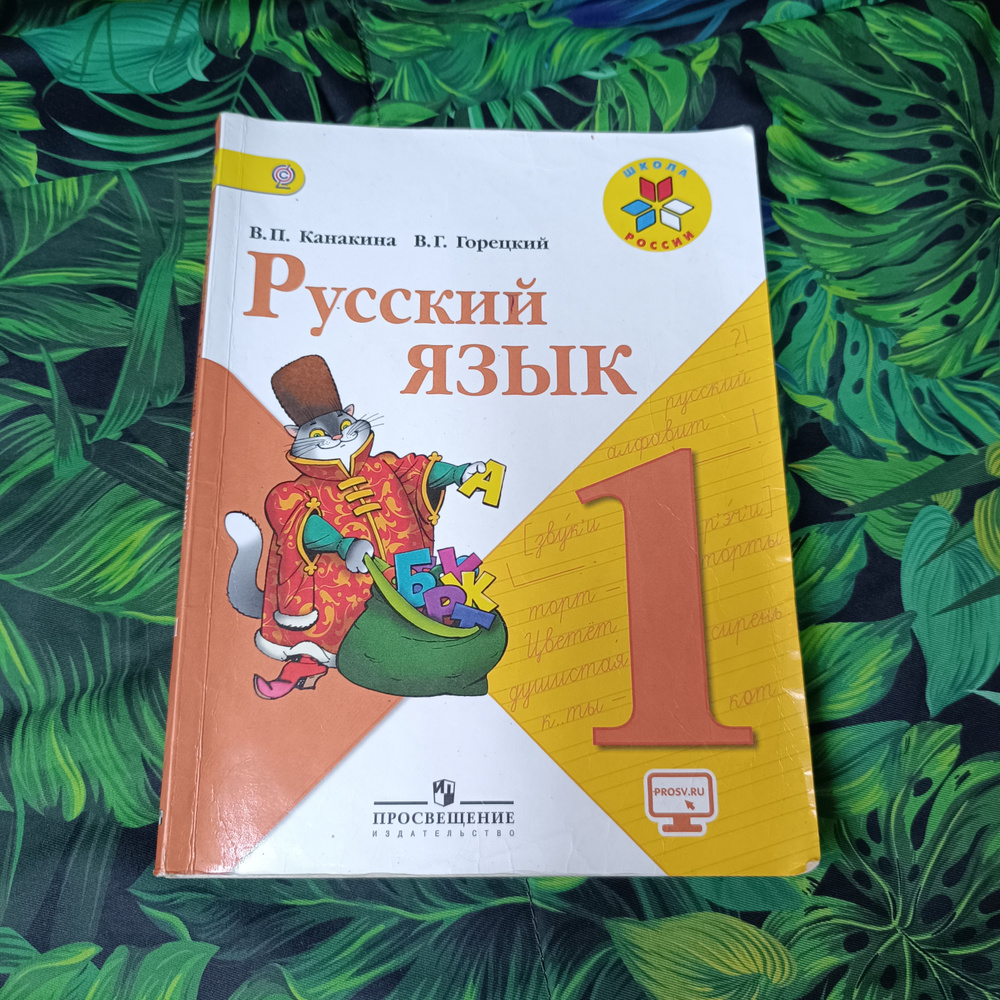 русский язык 1 класс Канакина Горецкий с 2011-2018 год | Канакина Валентина  #1