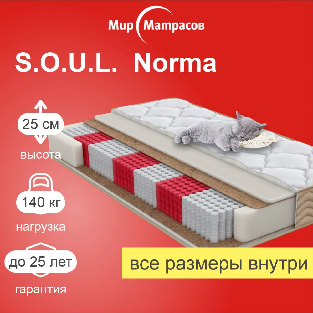 Мир Матрасов Матрас S.O.U.L. Norma, Независимые пружины, 170х180 см  #1