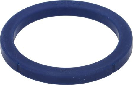Кольцо уплотнительное группы NUOVA SIMONELLI из термостойкого синего силикона  #1