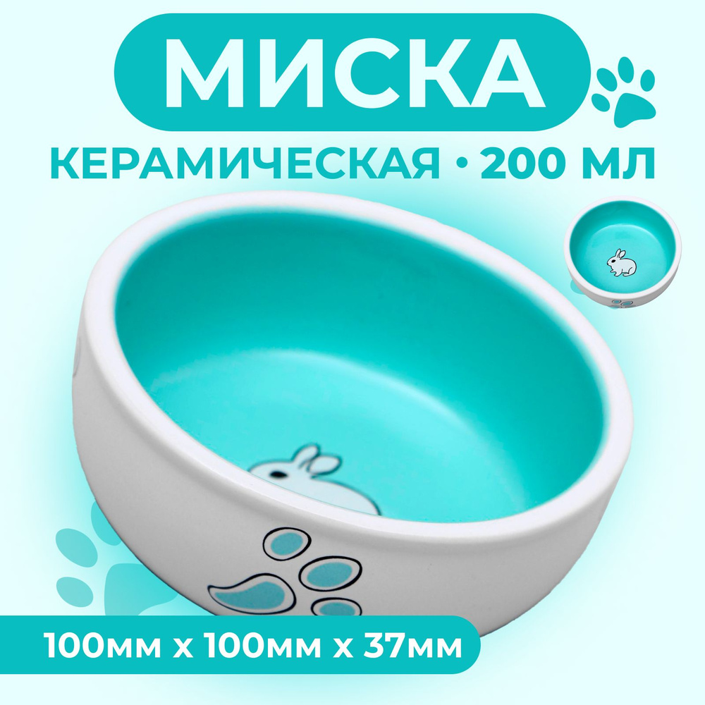 Миска керамическая для воды и корма 0,2 л #1