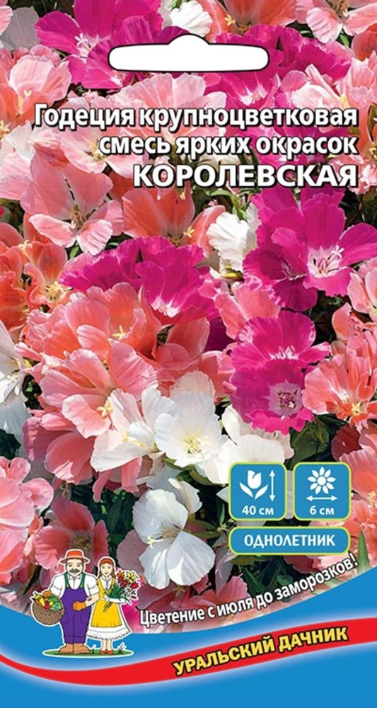 Семена Годеция крупноцветковая смесь Королевская (УД) 0,15 г.  #1