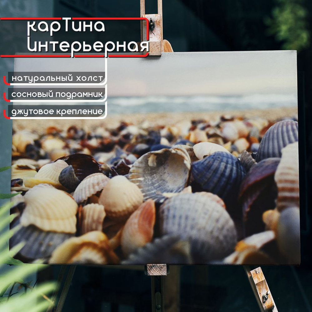 Картина интерьерная на холсте, горизонтальная - Морские ракушки на фоне моря 75x100 см  #1