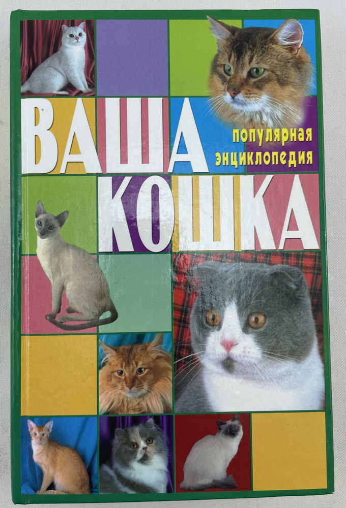 Ваша кошка. Все о кошке. #1