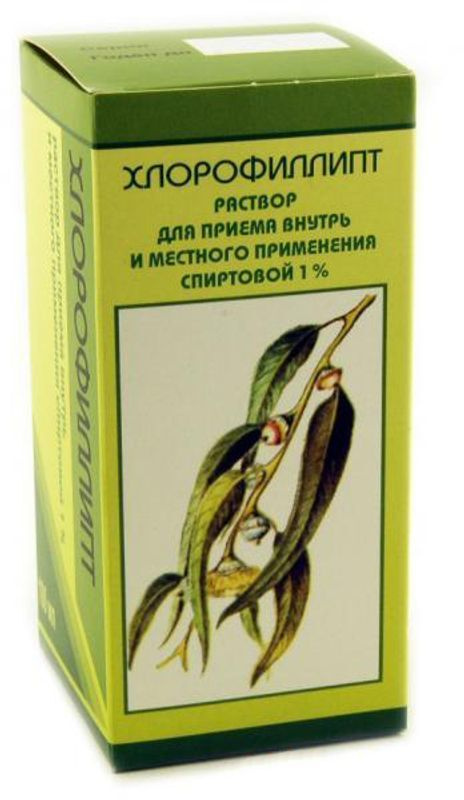 Стафилококк хлорофиллипт отзывы. Масляный раствор хлорофиллипта. Масло хлорофиллипта. Стафилококк хлорофиллипт отзывы. Хлорофиллипт масляный для горла.