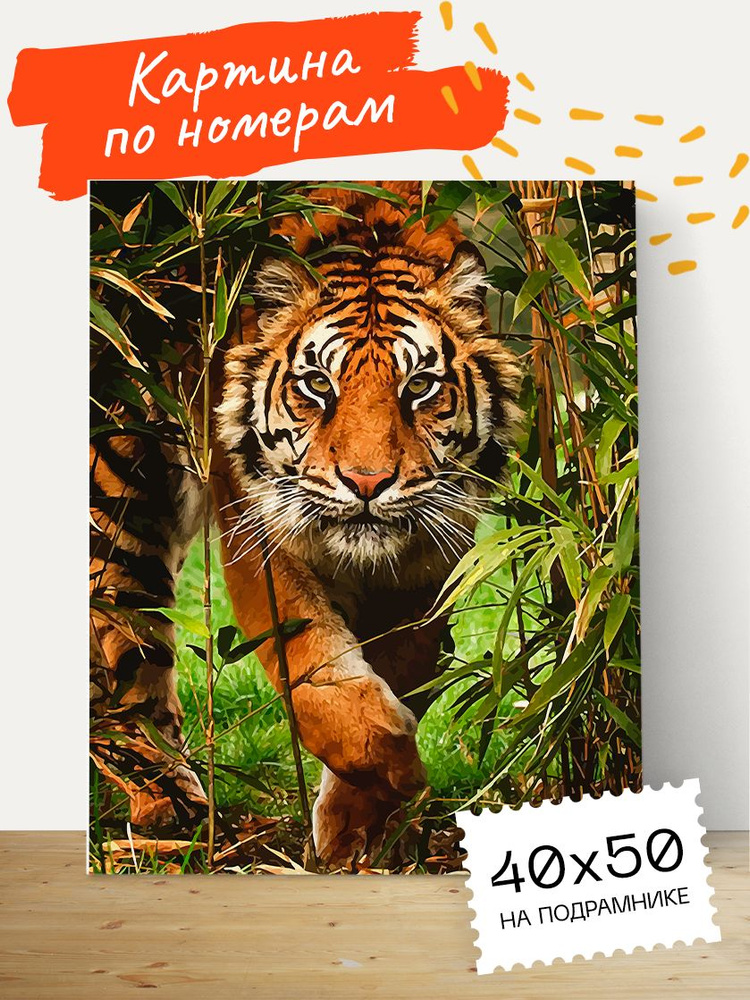 Картина по номерам Hobruk "Тигр" на холсте на подрамнике 40х50, раскраска по номерам, животные / кот #1