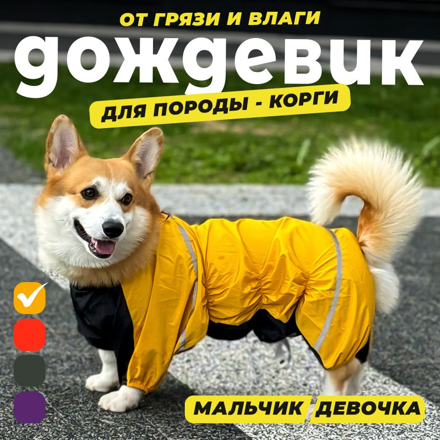 Комбинезон для собак средних пород, демисезонная одежда для животных, дождевик корги водоотталкивающий #1
