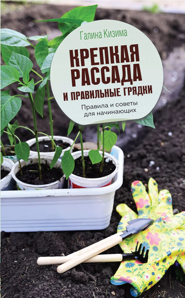 Крепкая рассада и правильные грядки. Правила и советы для начинающих  #1