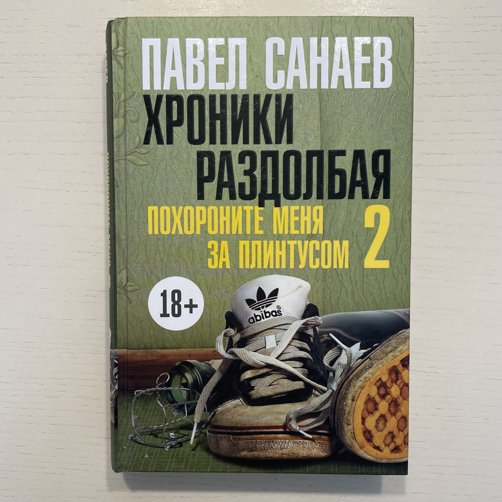 Хроники Раздолбая. Похороните меня за плинтусом-2. Роман | Санаев Павел  #1