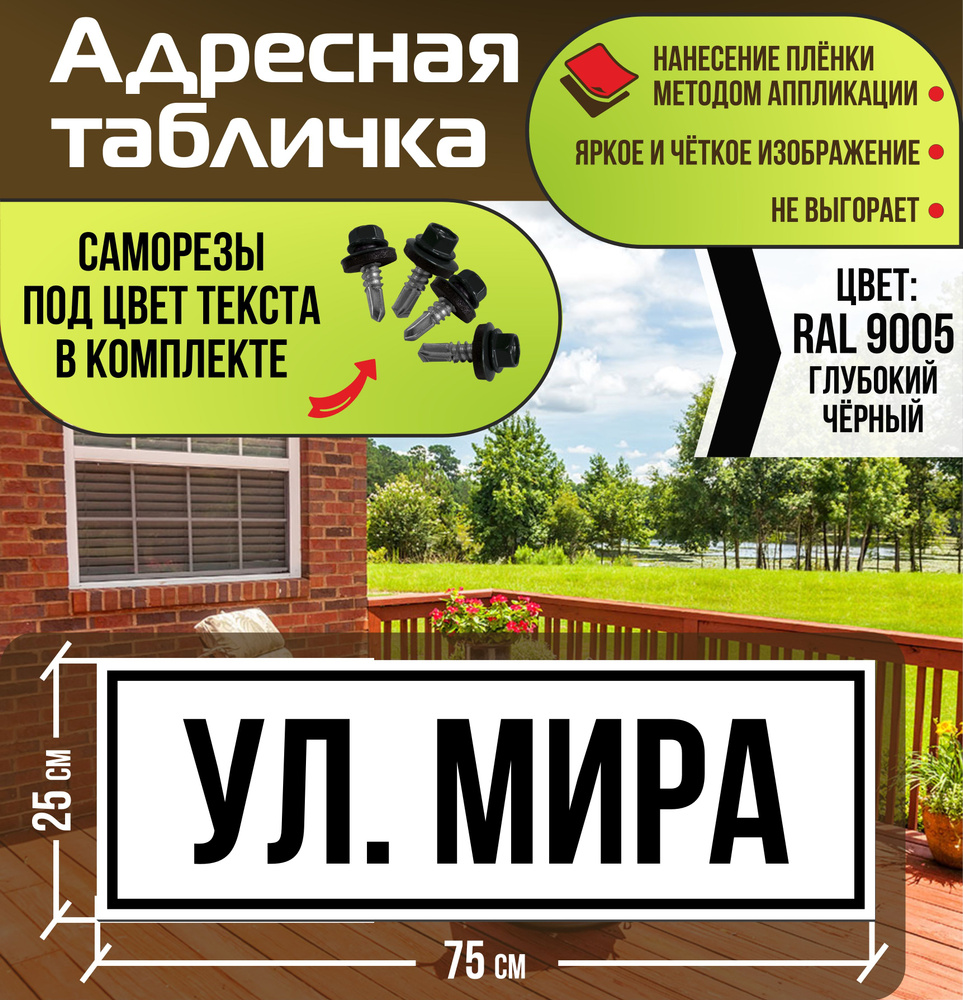 Адресная табличка на дом улица Мира RAL 9005 черная #1