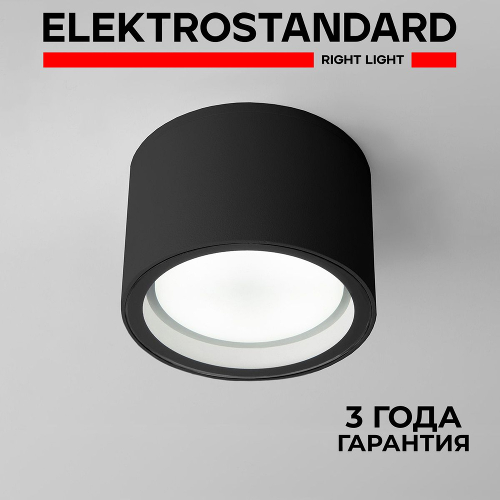 Уличный потолочный светильник Elektrostandard Light 26231 IP54 35144/H черный  #1