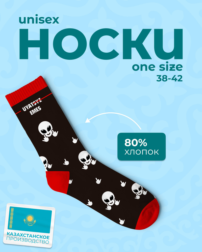 Носки TwoSocksKZ, 1 пара #1