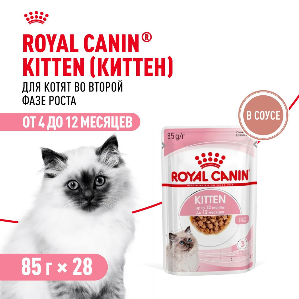 Влажный корм для котят Royal Canin Kitten в соусе 85 г х 28 шт #1