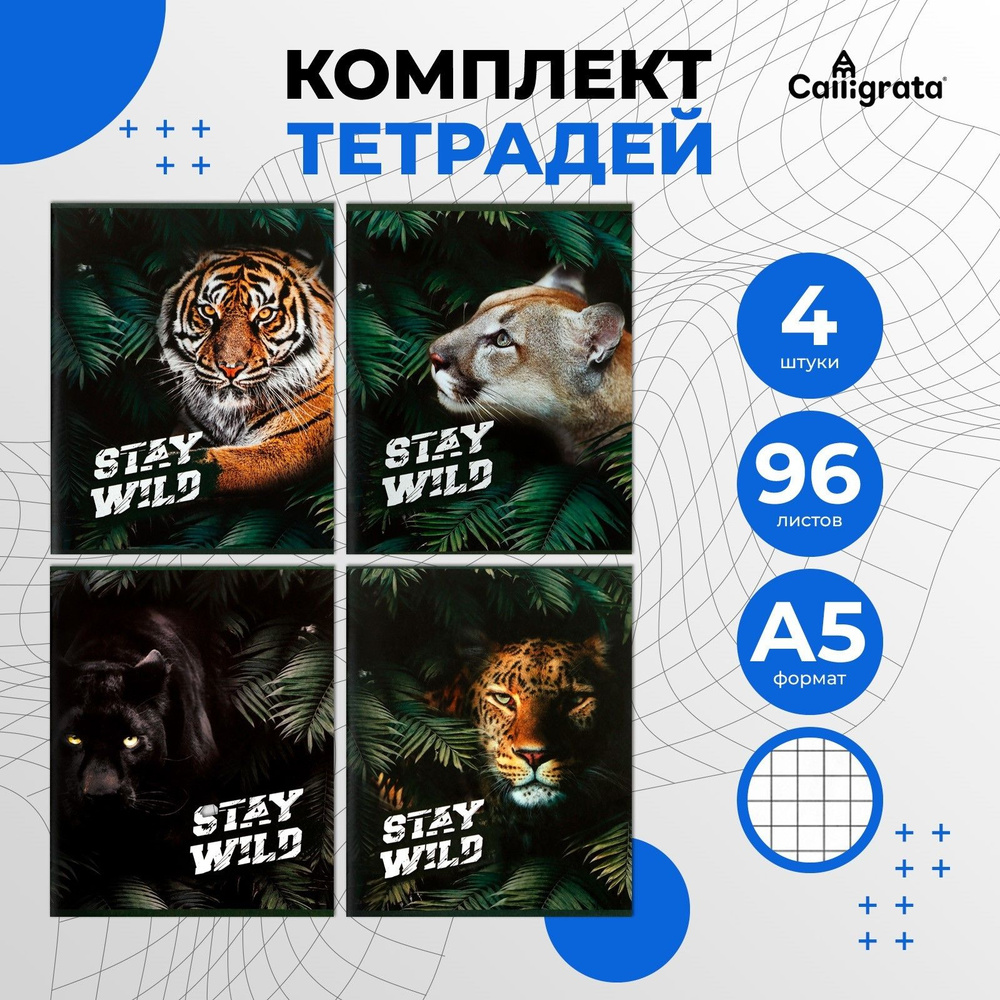 Calligrata Набор тетрадей, листов: 96 #1