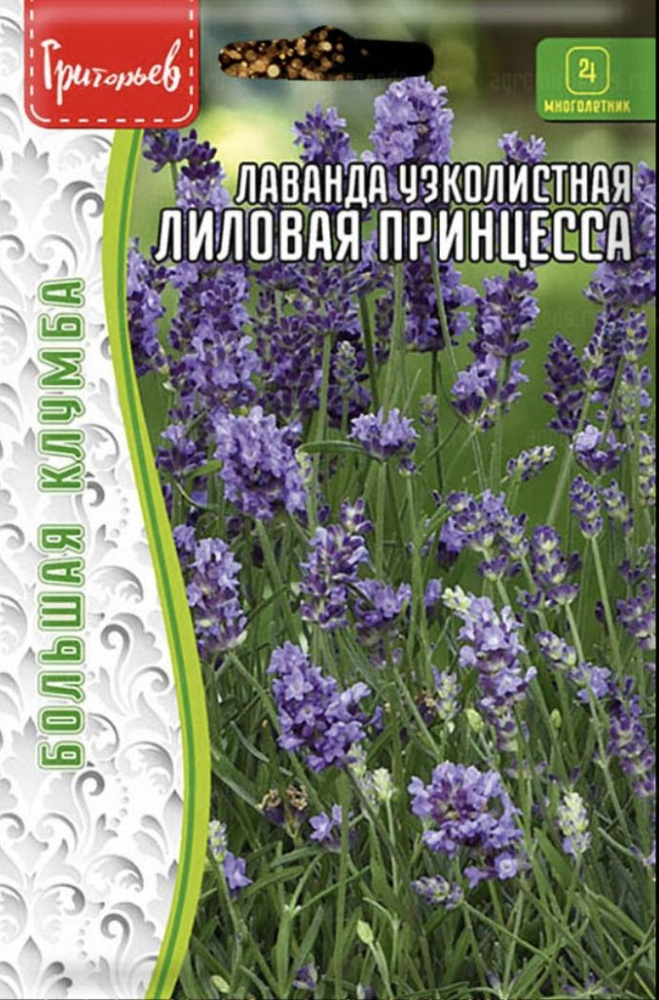 Лаванда узколистная Лиловая Принцесса, 1 пакет, семена 30 шт, многолетник, ЧК  #1