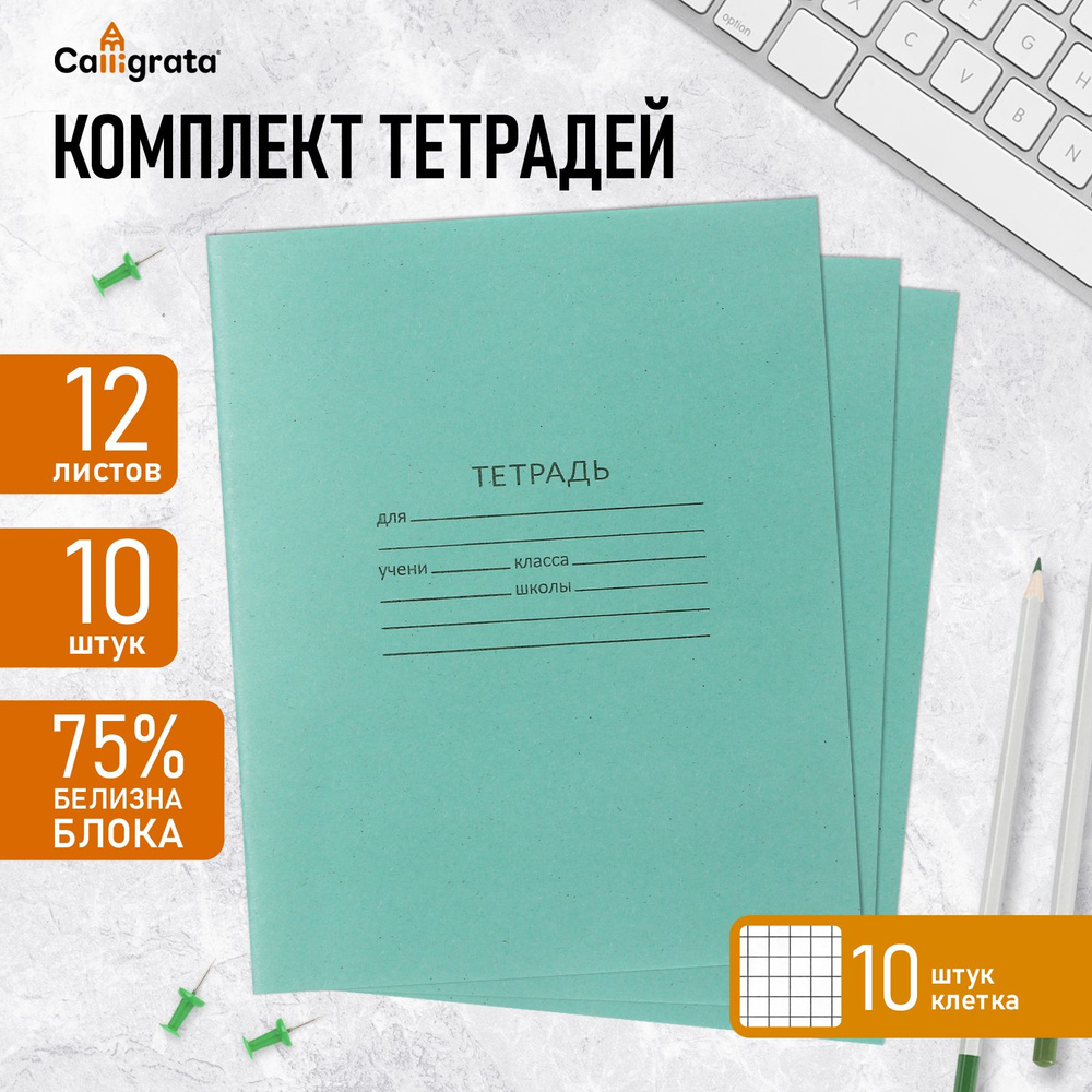 Комплект тетрадей из 10 штук, 12 листов в клетку КПК "Зелёная обложка", блок №2, белизна 75% (серые листы) #1