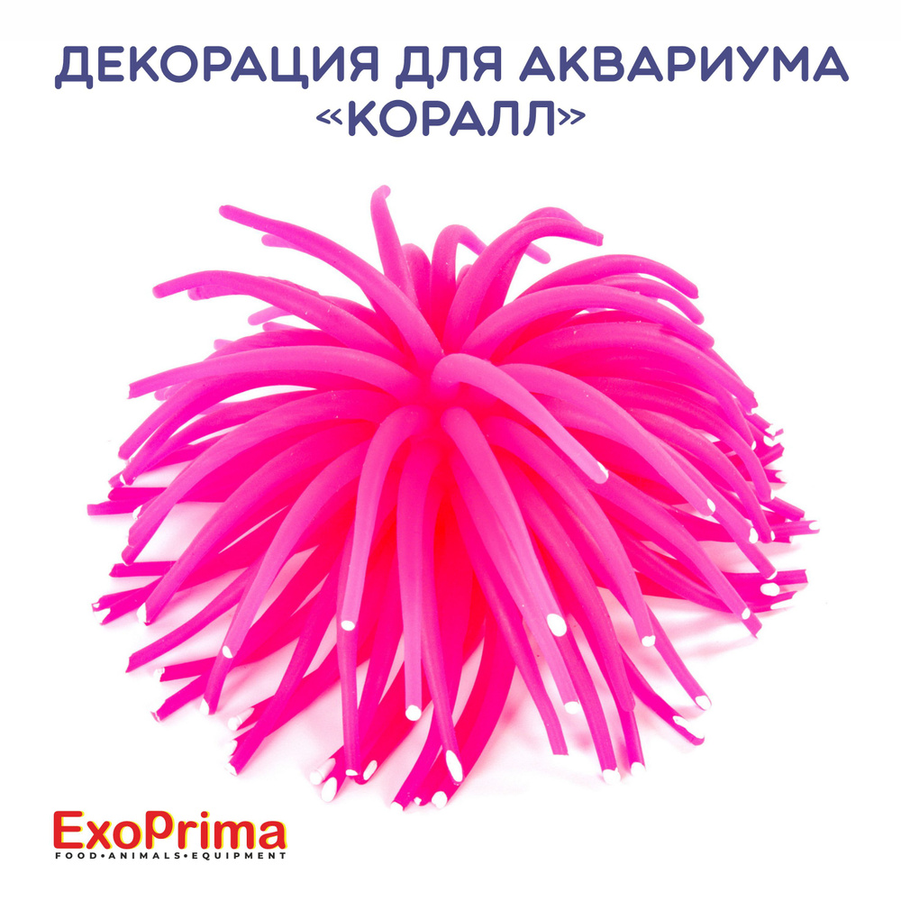 Декорация для аквариума EXOPRIMA "Коралл" силикон, розовая, 10х10х6см  #1