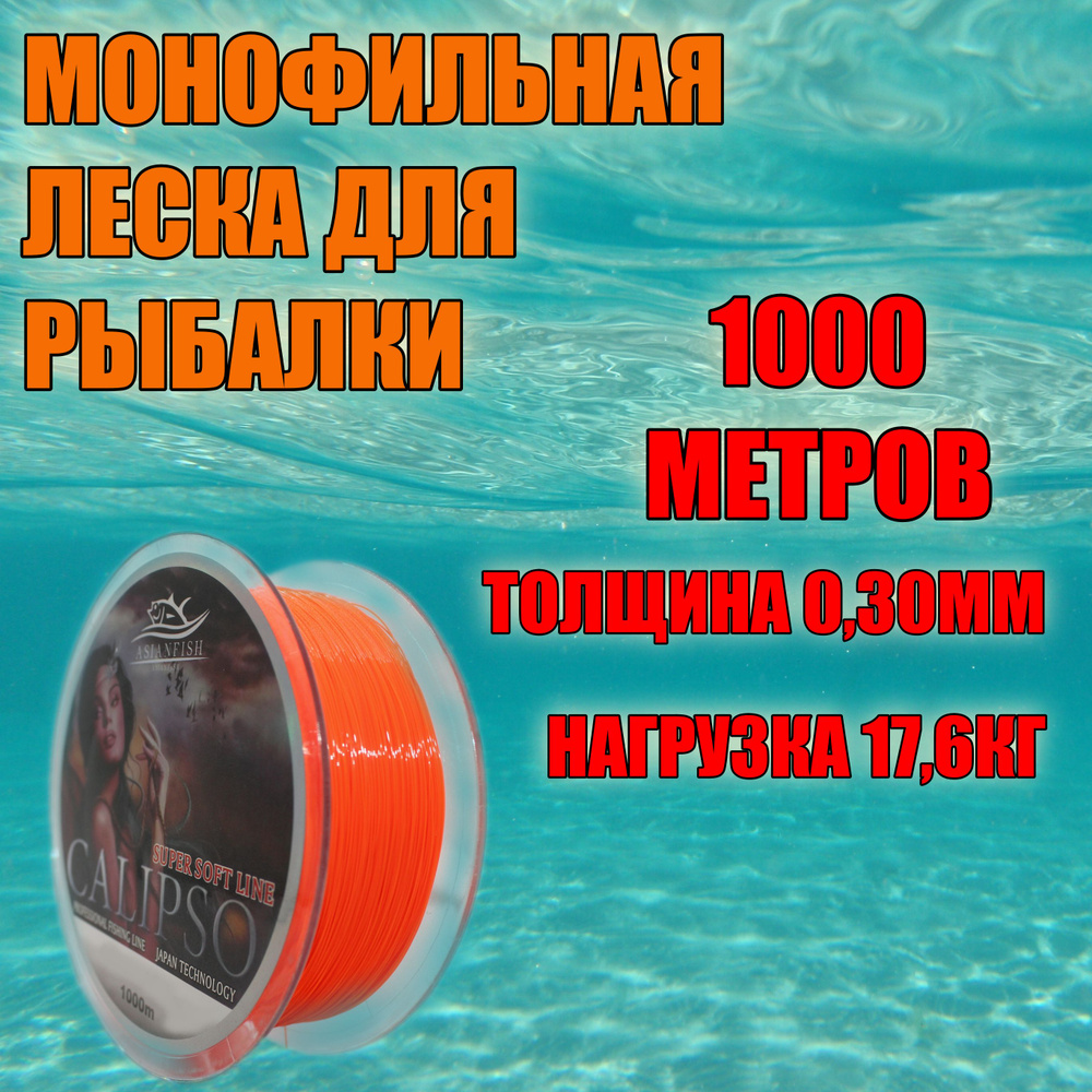 Монофильная леска для рыбалки CALIPSO 1000м 0,30мм #1