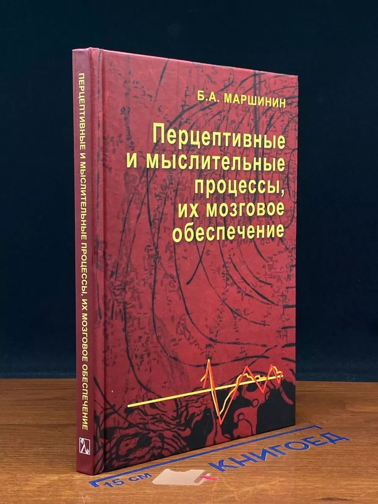 Перцептивные и мыслительные процессы, их мозговое обеспеч.  #1