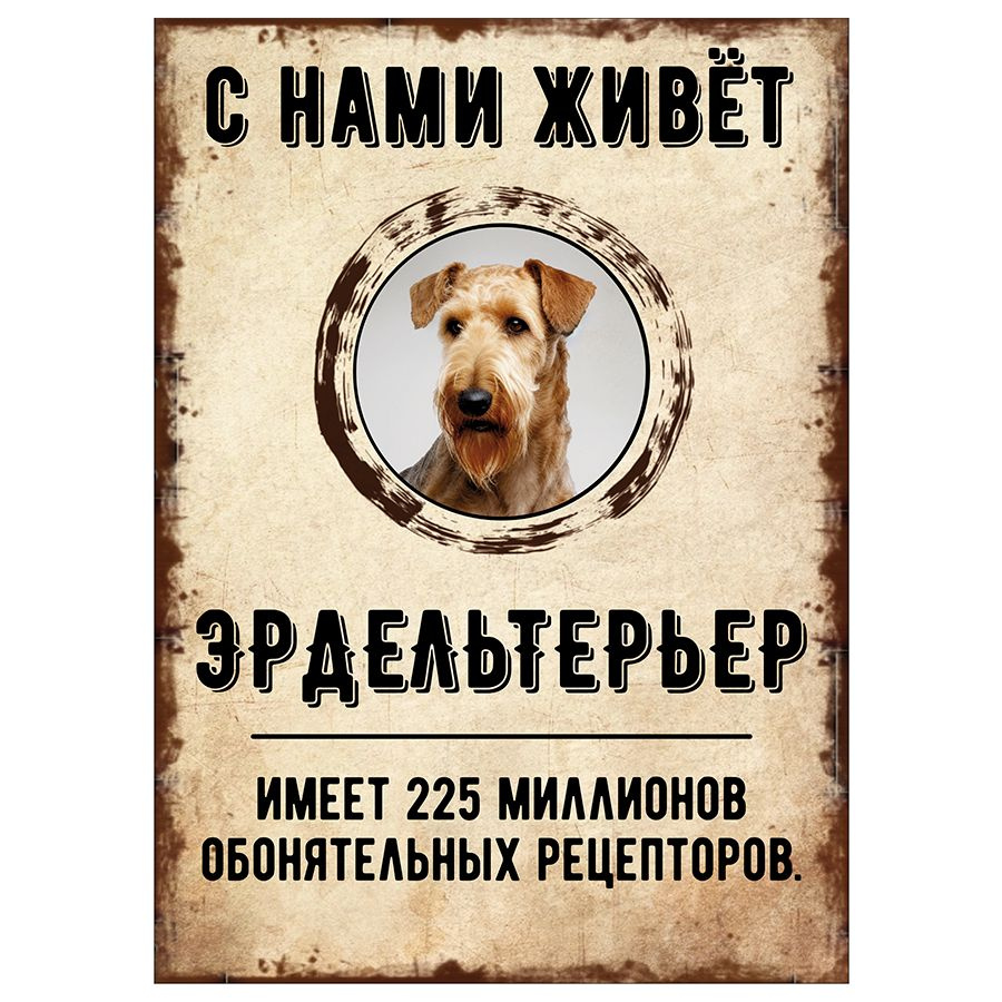 Табличка, декоративная, DANGER DOG, С нами живет Эрдельтерьер, 18см х 25см  #1