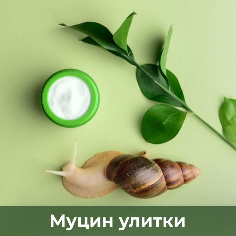 Муцин улитки