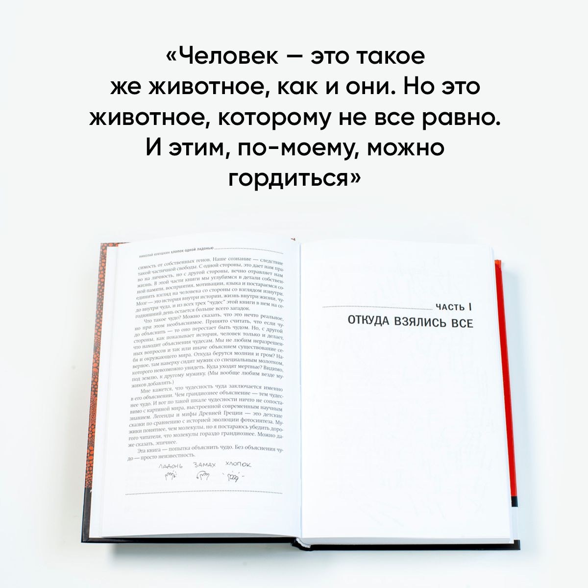 Хлопок одной ладонью. Как неживая природа породила человеческий разум | The Clap of One Hand: How Inanimate Nature Gave Rise to the Human Mind - Ozon image 4