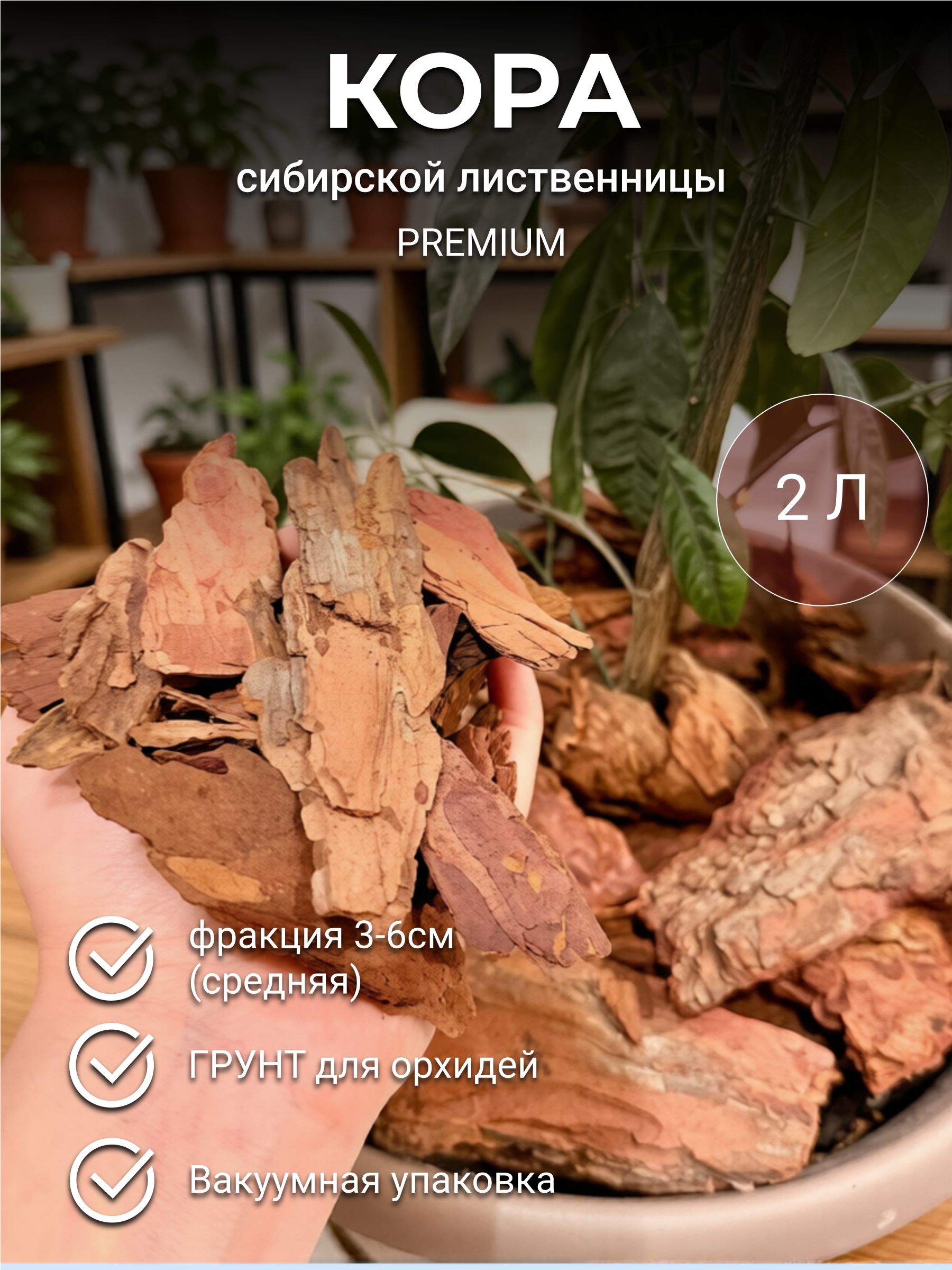 Коралиственницыфр3-6см,2л,грунтмульчаизкоры