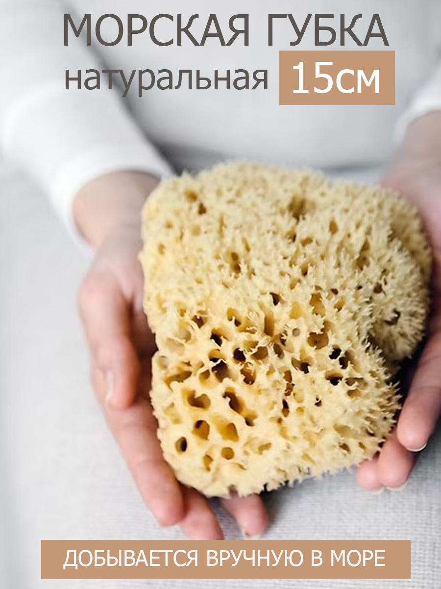 Губкаморскаянатуральная,15-16см