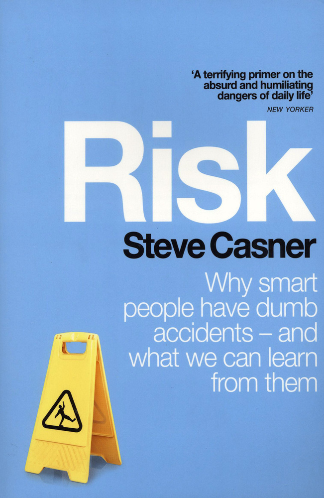 Risk. Why Smart People Have Dumb Accidents - And What We Can Learn From Them / Книга на Английском | #1