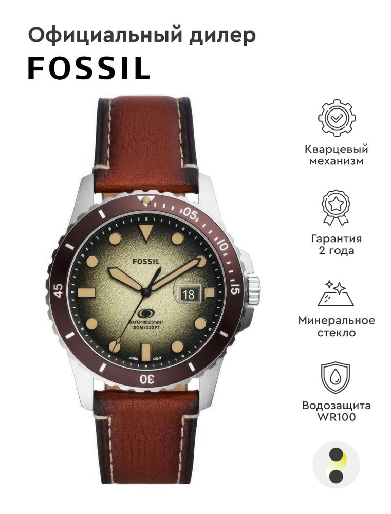 Мужские наручные часы Fossil Casual FS5961 #1