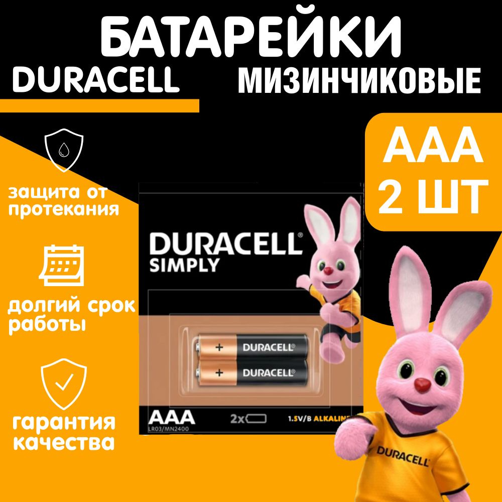 Батарейки DURACELL AAA, 2шт ААА, Мизинчиковые #1