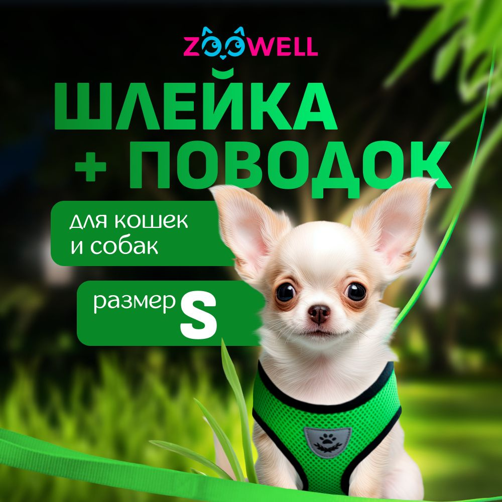 Шлейка и поводок для кошек, маленьких пород собак и хорьков ZOOWELL, набор для прогулок, зеленый размер #1