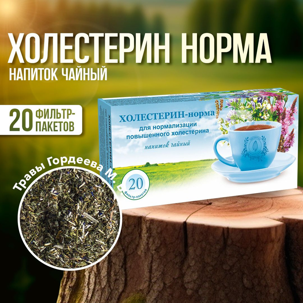 Гордеев / Холестерин норма травяной чай для снижения холестерина в пакетиках, 20 ф/п  #1