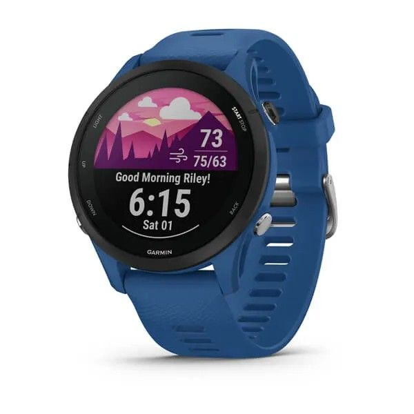 Смарт часы Garmin Forerunner 255, синий #1