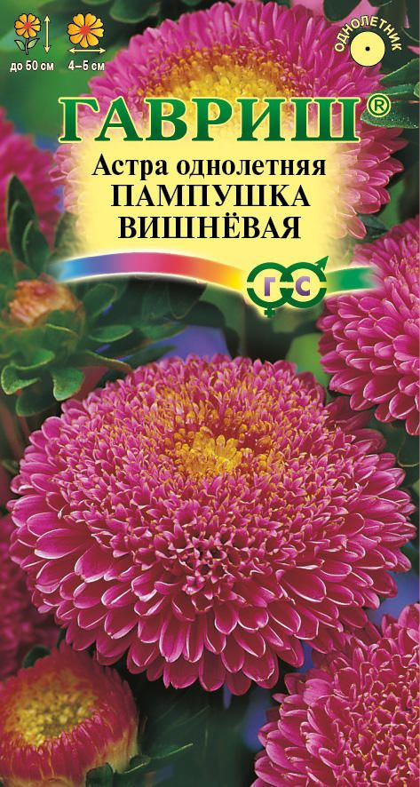 Астра Пампушка вишневая 0,3 г (Гавриш) #1