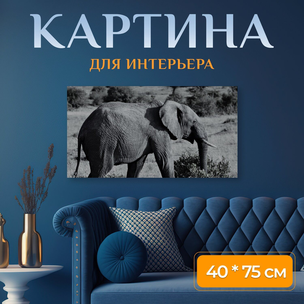 LotsPrints Картина "Слон, сафари, африка 72", 75  х 40 см #1