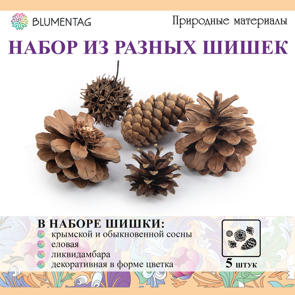 Шишки для декора, поделок "Blumentag" NPIF-02 "Микс" 5 шт. 60 г #1