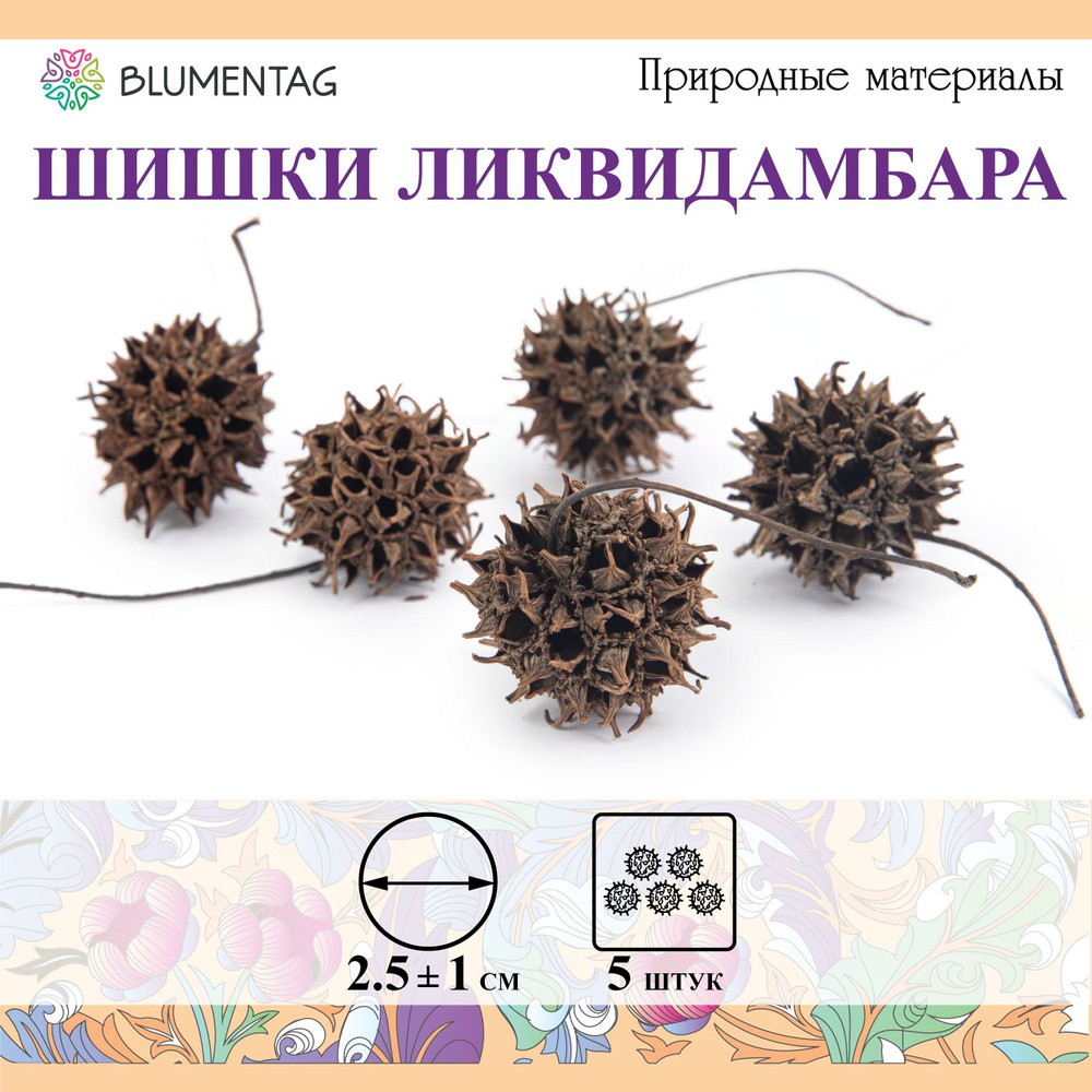 Шишки ликвидамбара "Blumentag" PIF-09 d. 2.5 см 1 5 шт. 15 г 5 г 01 #1