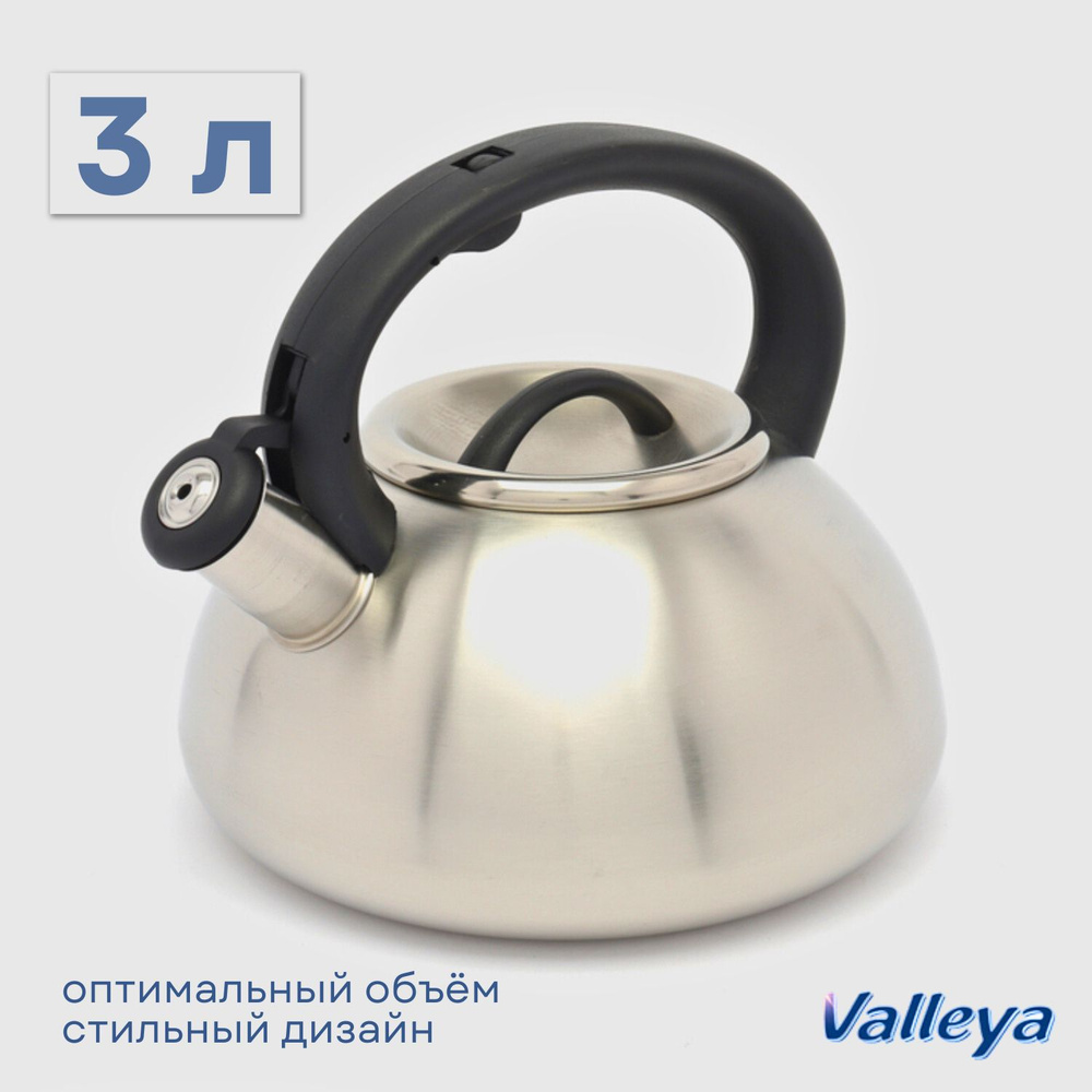 Чайник для плиты матовый со свистком, из нержавеющей стали "Valleya", 3 литра, для всех видов плит, подарок #1