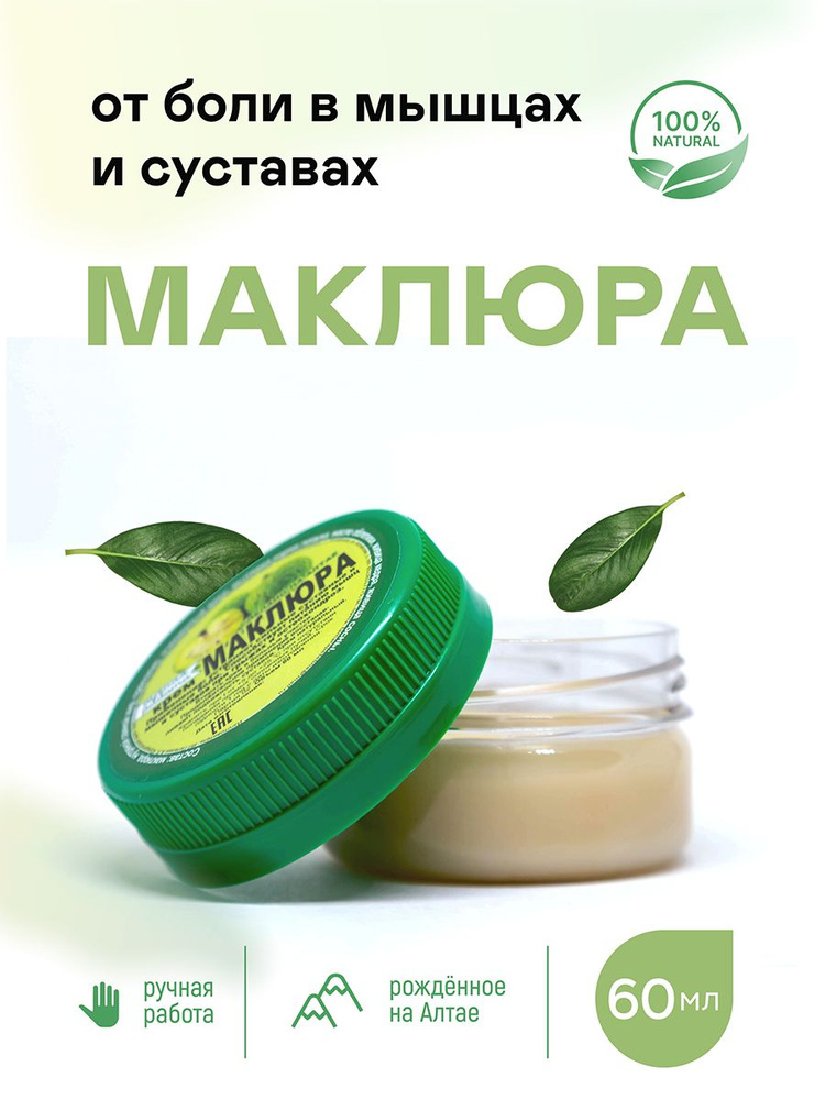 Маклюра оранжевая