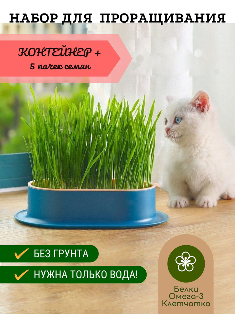 Трава для кошек, набор для проращивания #1